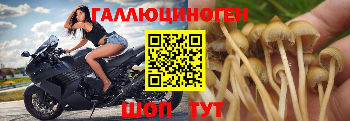Псилоцибиновые грибы ЛСД Ульяновск