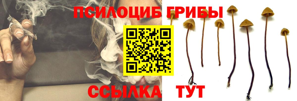 Псилоцибиновые грибы прущие грибы  Галлюциногенные грибы Cubensis  наркота  Ульяновск  Вход с VPN 